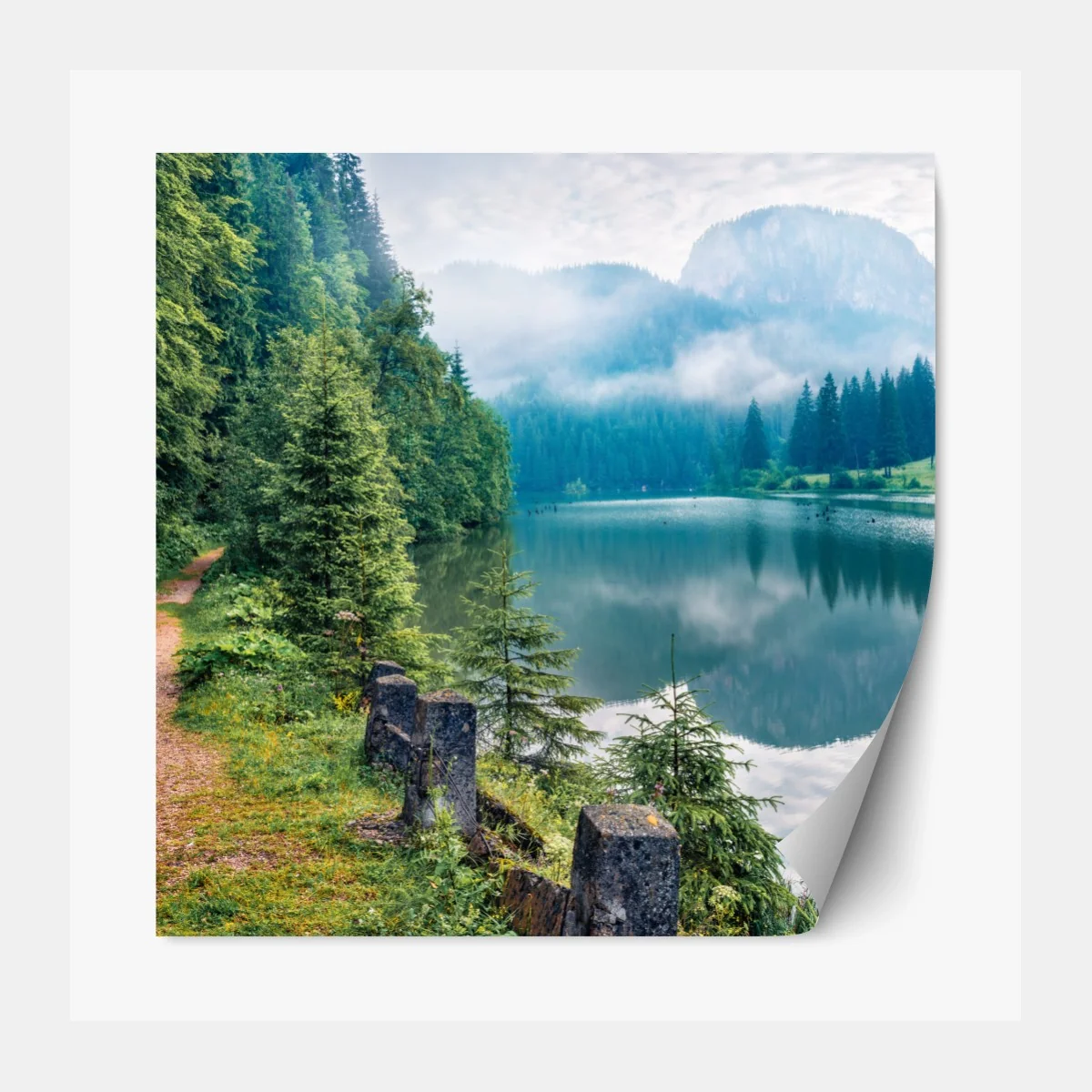 Repositionierbarer Aufkleber nebliger morgen am Lacu Rosu – Wallnifity® Repositionierbarer Aufkleber nebliger morgen am Lacu Rosu – Wallnifity®