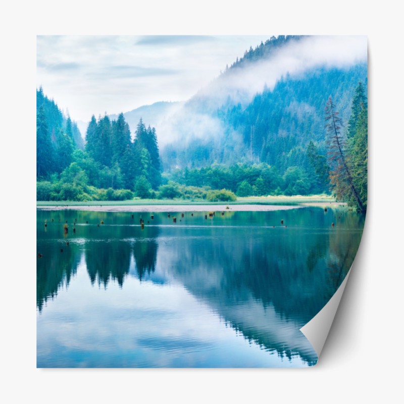 Repositionierbarer Aufkleber tropisches muster mit strelitzien – Wallnifity®