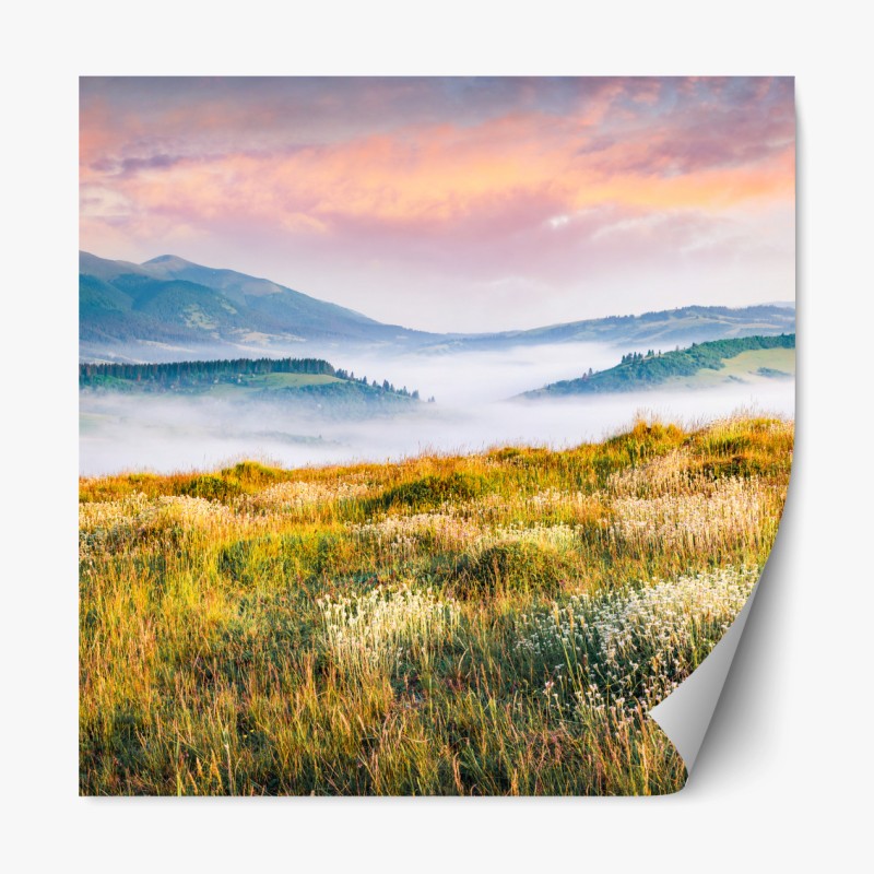 Repositionierbarer Aufkleber ruhiger grüner waldpfad – Wallnifity®