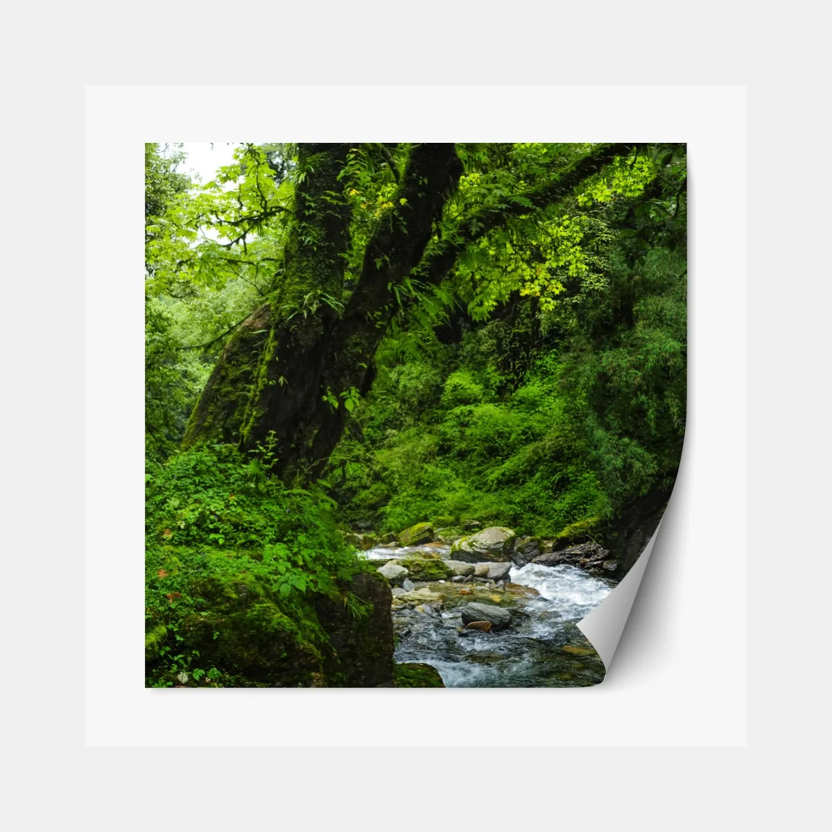 Repositionierbarer Aufkleber üppiger grüner wasserfall im wald – Wallnifity® Repositionierbarer Aufkleber üppiger grüner wasserfall im wald – Wallnifity®