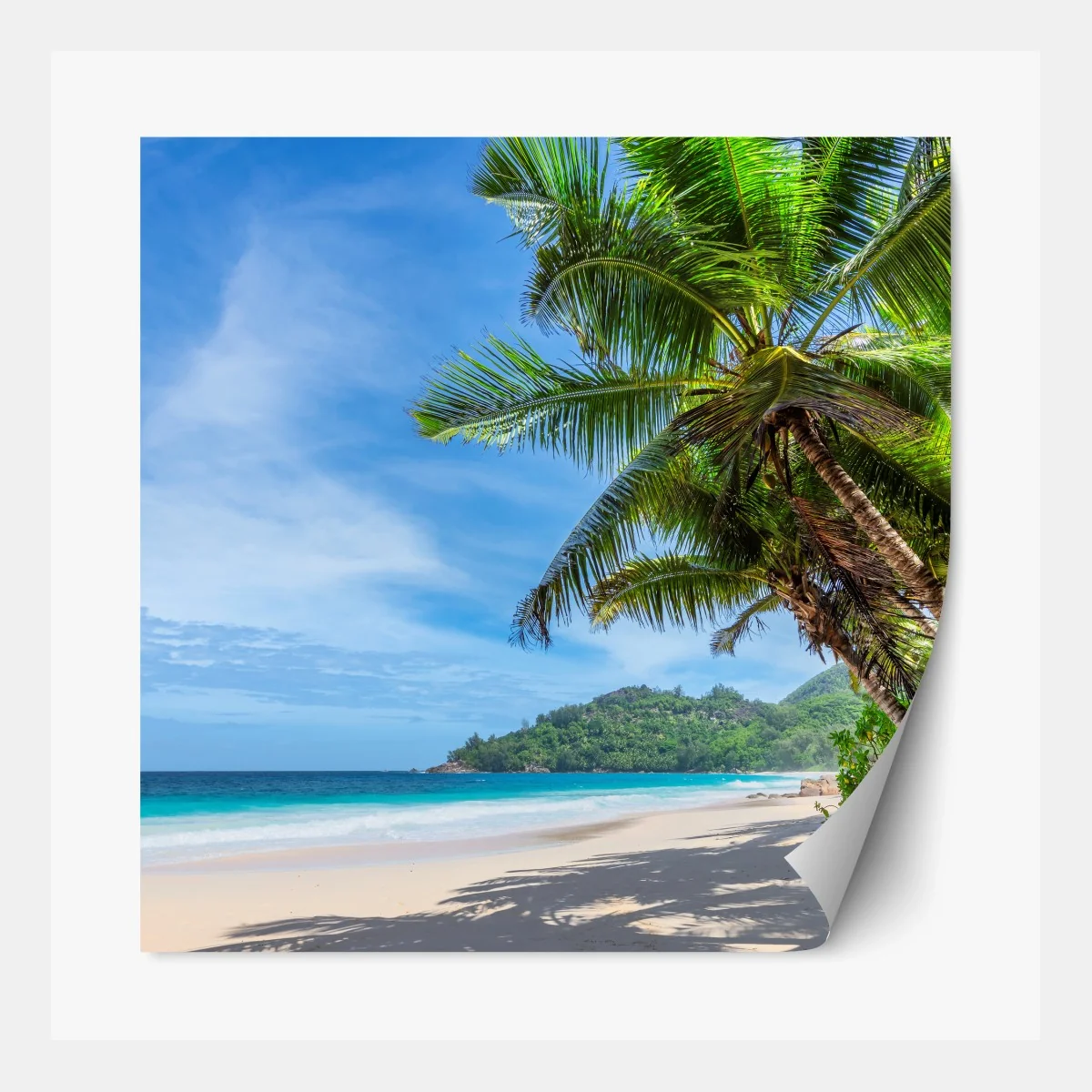 Repositionierbarer Aufkleber tropischer strand mit palmen und segelboot – Wallnifity® Repositionierbarer Aufkleber tropischer strand mit palmen und segelboot – Wallnifity®