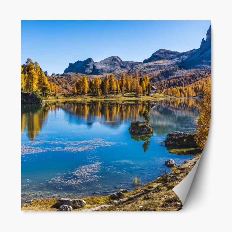 Repositionierbarer Aufkleber tropisches muster mit strelitzien – Wallnifity®