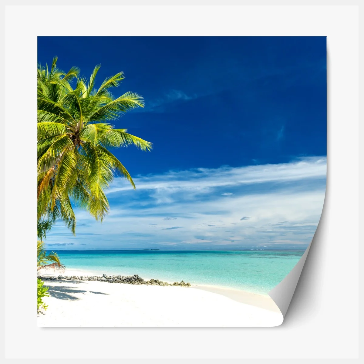 Repositionierbarer Aufkleber tropischer türkisstrand – Wallnifity® Repositionierbarer Aufkleber tropischer türkisstrand – Wallnifity®
