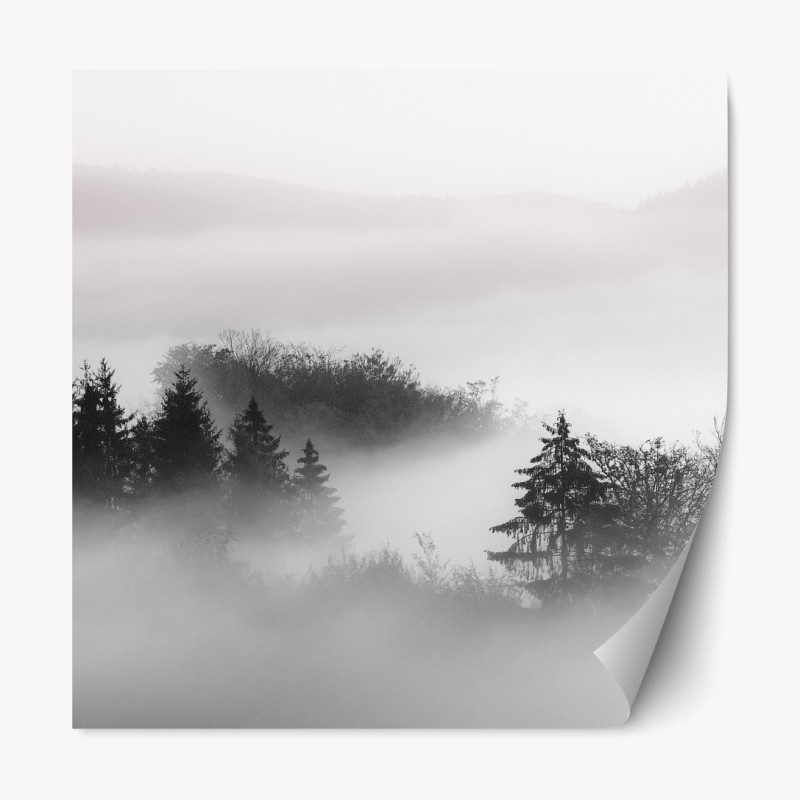 Repositionierbarer Aufkleber nebliger wald in grautönen