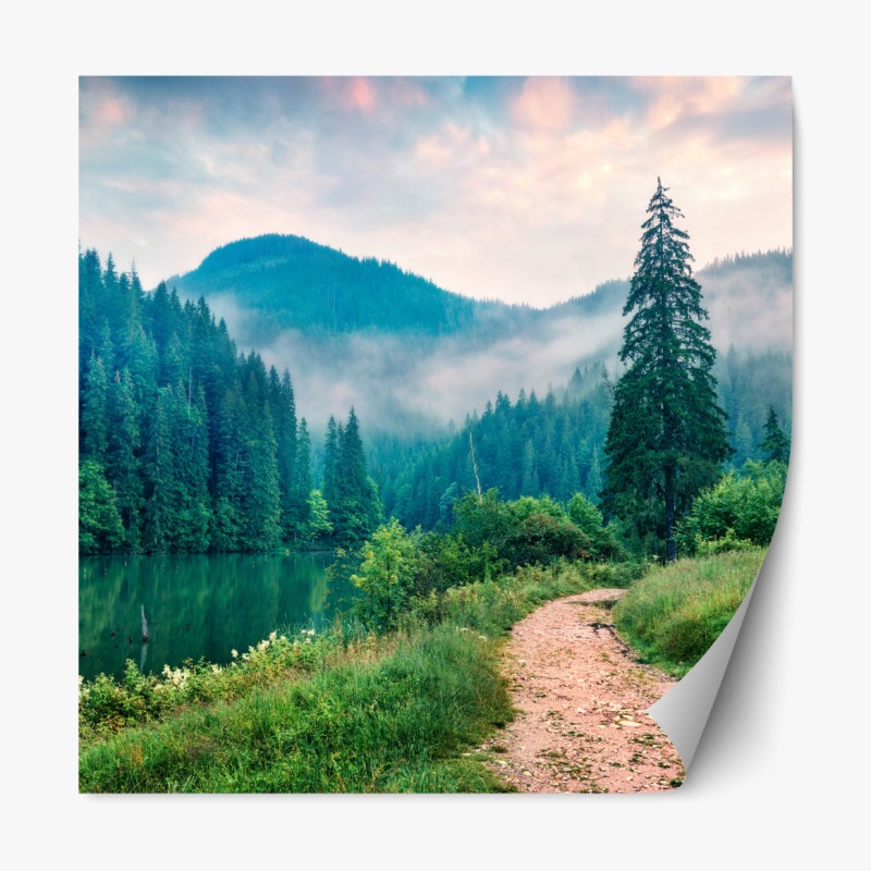 Repositionierbarer Aufkleber nebliger wald vom Larch Mount, Oregon – Wallnifity®