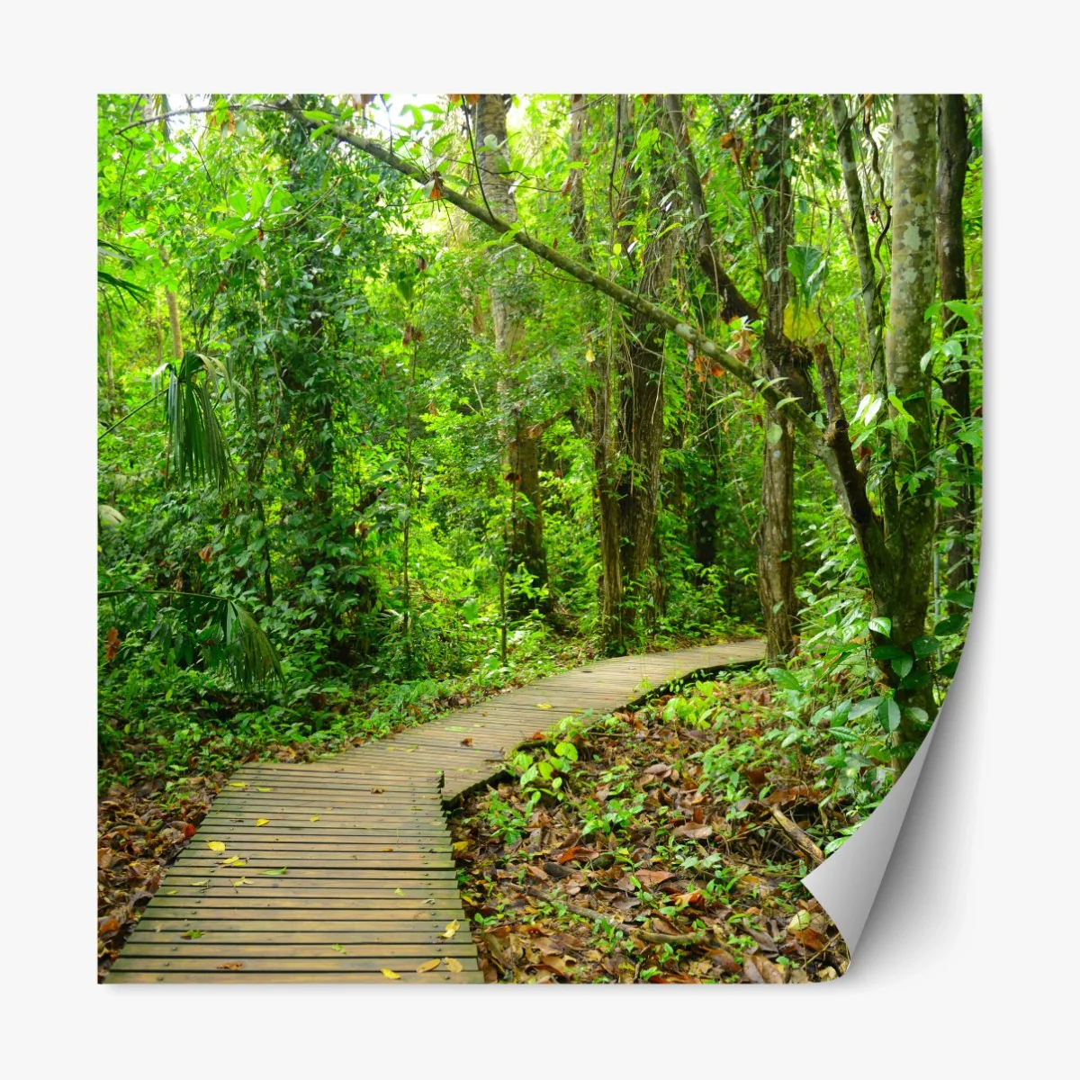 Repositionierbarer Aufkleber tropischer steg im üppigen wald – Wallnifity® Repositionierbarer Aufkleber tropischer steg im üppigen wald – Wallnifity®