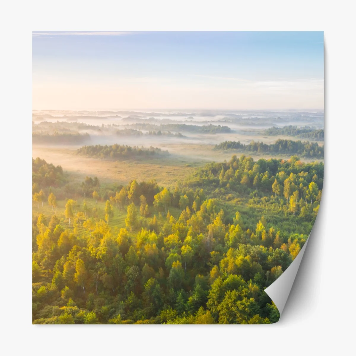 Repositionierbarer Aufkleber nebliger morgen im sumpf von Zvanets – Wallnifity® Repositionierbarer Aufkleber nebliger morgen im sumpf von Zvanets – Wallnifity®