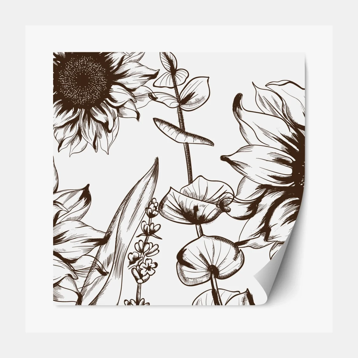 Repositionierbarer Aufkleber botanische sonnenblumenillustration in sepia – Wallnifity® Repositionierbarer Aufkleber botanische sonnenblumenillustration in sepia – Wallnifity®