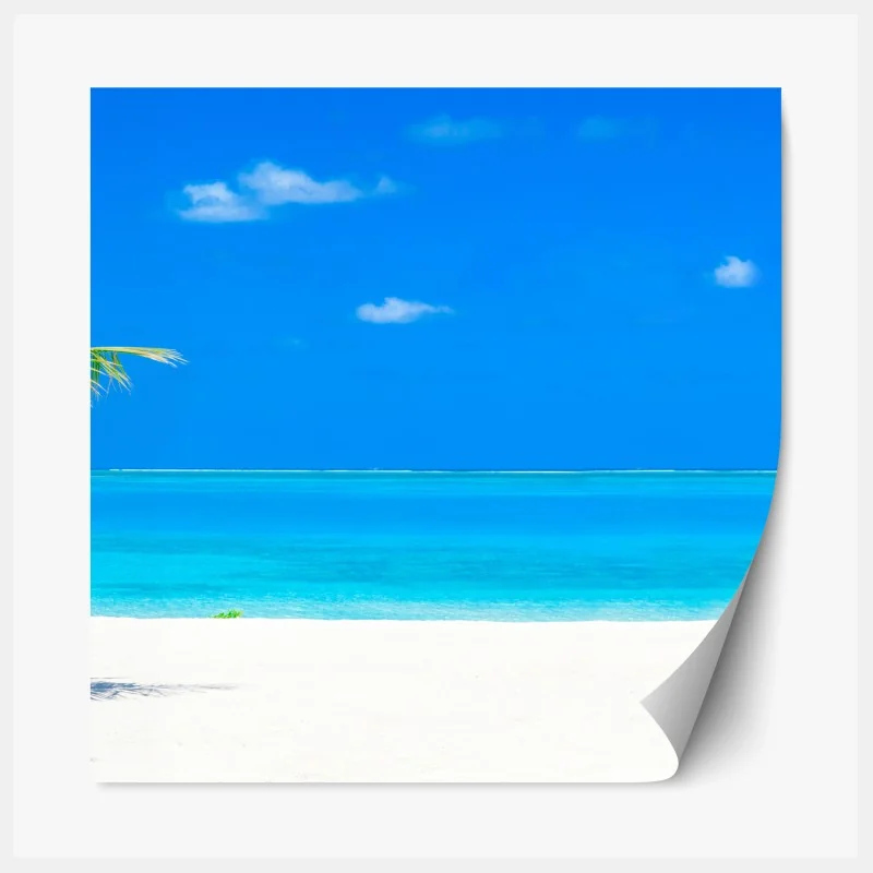 Repositionierbarer Aufkleber sonnenbeschienenes rapsfeld im abendlicht – Wallnifity®