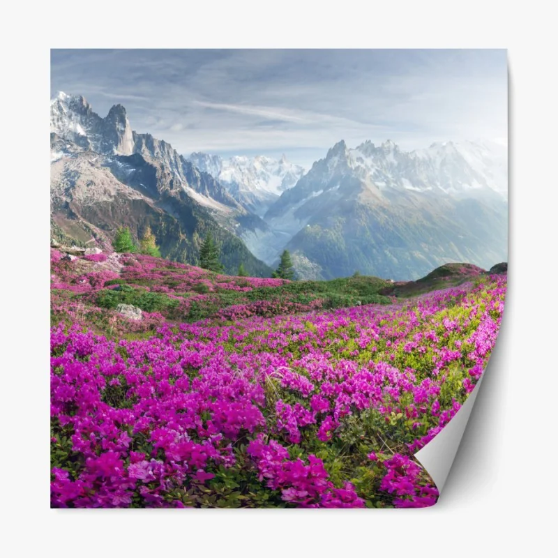 Repositionierbarer Aufkleber alpine rhododendronwiese bei Mont Blanc
