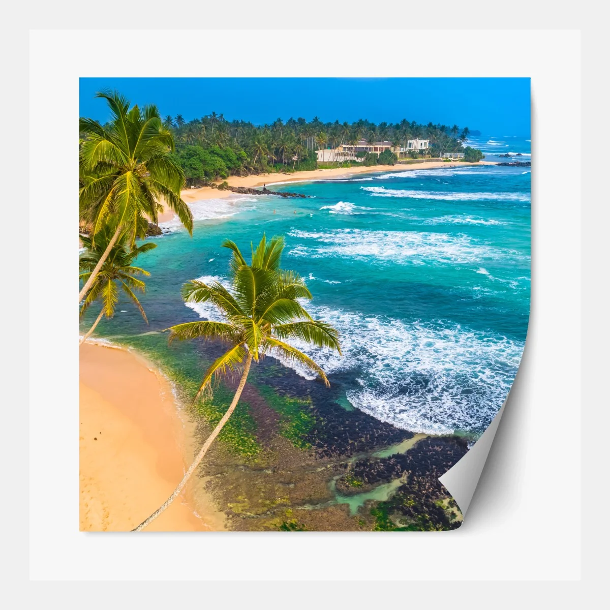 Repositionierbarer Aufkleber türkisfarbene tropische küste mit palmen – Wallnifity®