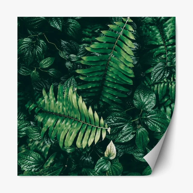 Repositionierbarer Aufkleber moosiger waldbach im sonnenlicht – Wallnifity®