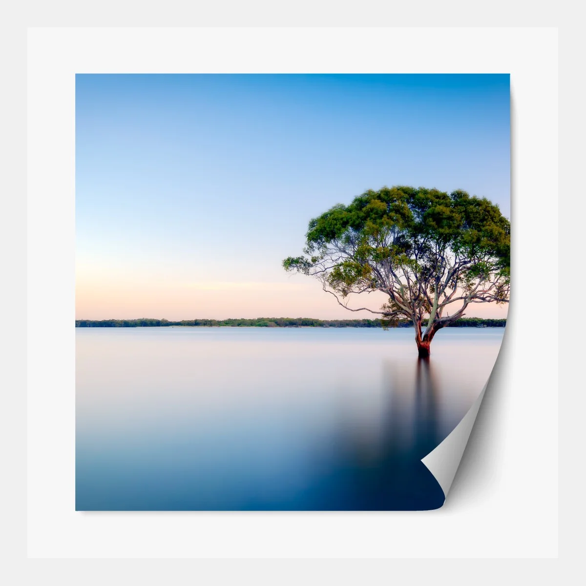 Repositionierbarer Aufkleber einsamer baum am stillen see – Wallnifity® Repositionierbarer Aufkleber einsamer baum am stillen see – Wallnifity®