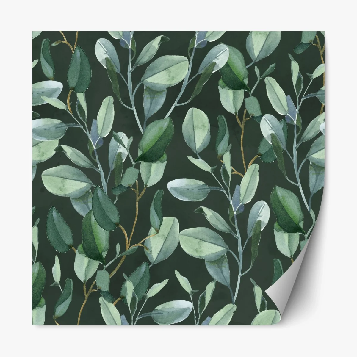 Repositionierbarer Aufkleber aquarell eukalyptusblätter muster auf dunkelgrünem hintergrund – Wallnifity®