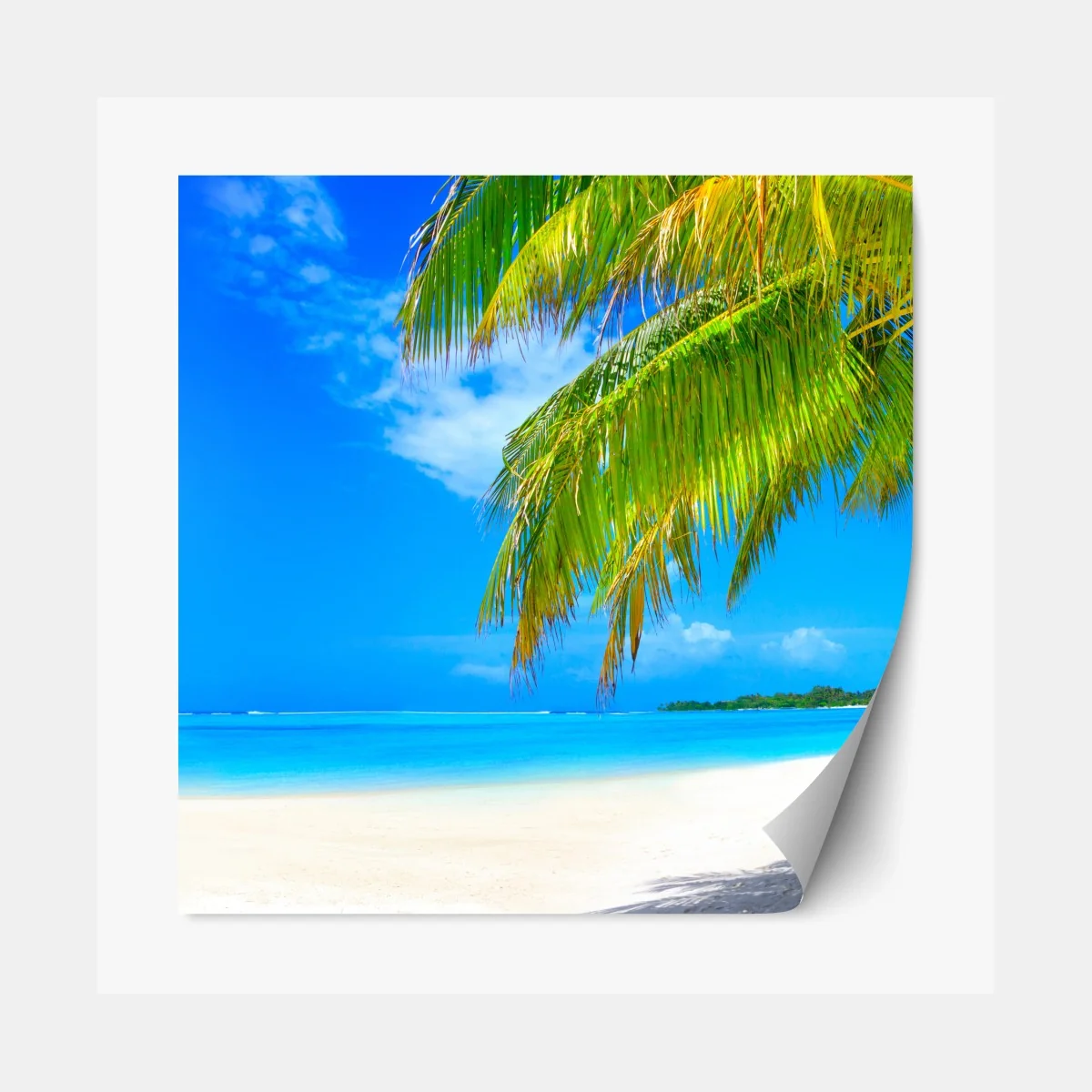 Repositionierbarer Aufkleber tropischer türkisstrand – Wallnifity® Repositionierbarer Aufkleber tropischer türkisstrand – Wallnifity®