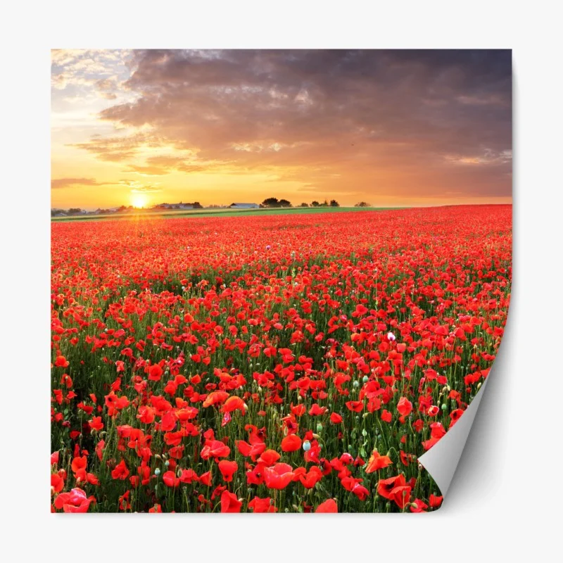 Repositionierbarer Aufkleber elefantenherde vor Kilimandscharo – Wallnifity®