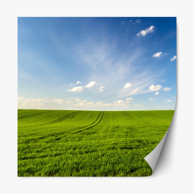 Repositionierbarer Aufkleber frühlingsgrüne wiesenpanorama