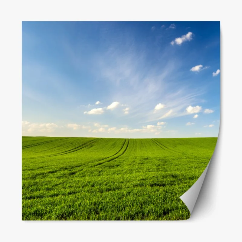 Repositionierbarer Aufkleber korallenfarbiges muschelmuster – Wallnifity®