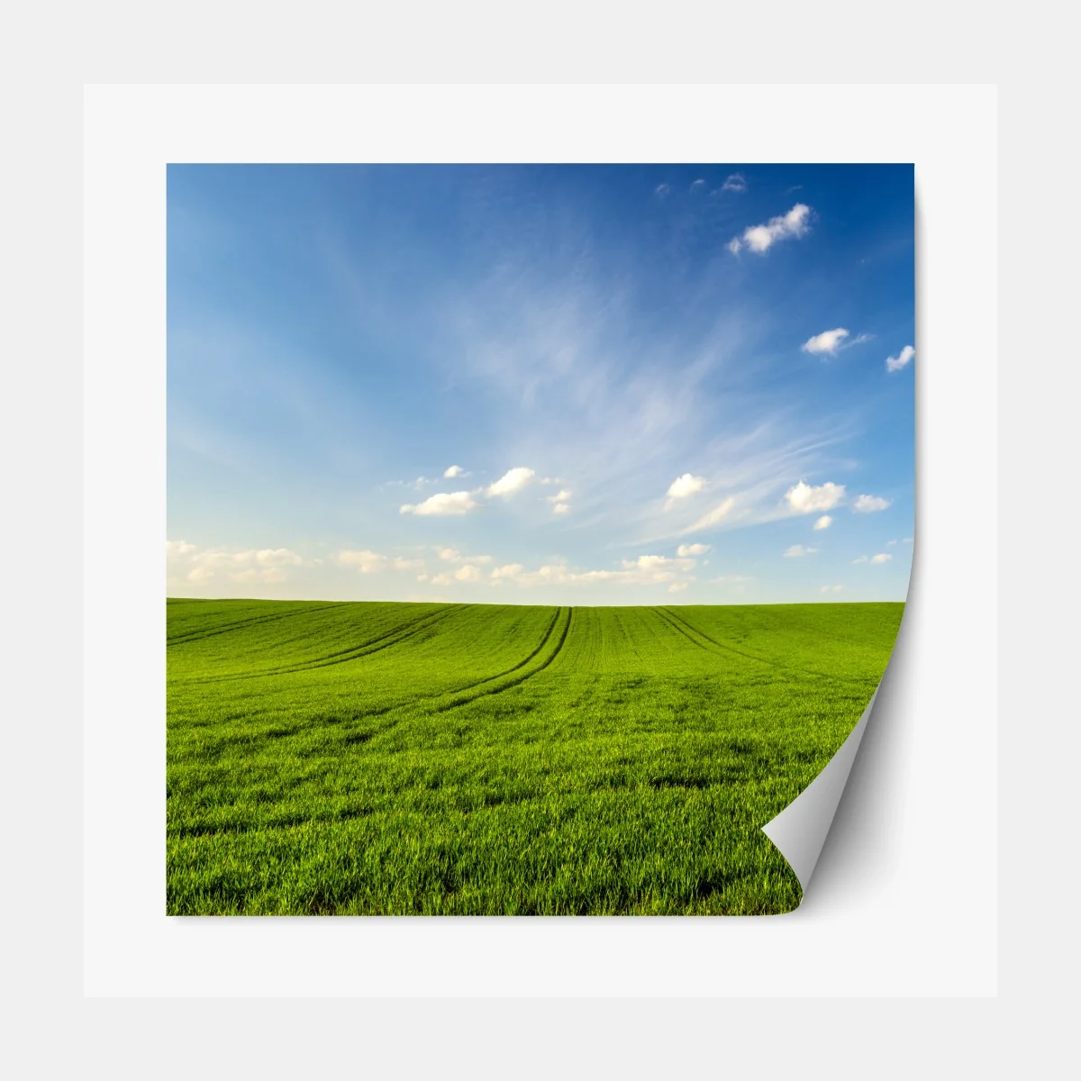 Repositionierbarer Aufkleber frühlingsgrüne wiesenpanorama – Wallnifity® Repositionierbarer Aufkleber frühlingsgrüne wiesenpanorama – Wallnifity®