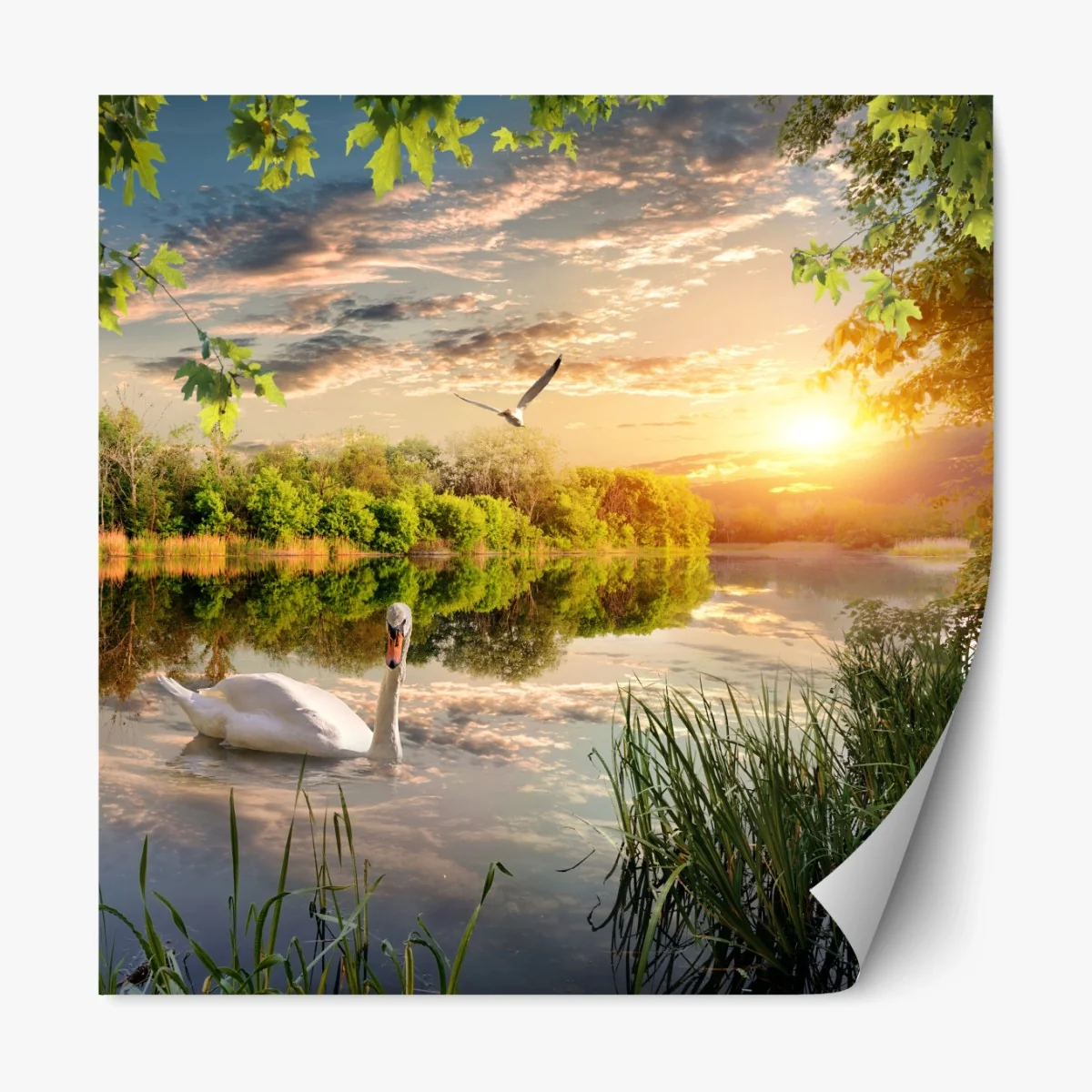 Repositionierbarer Aufkleber sonnenuntergang mit schwan auf stillem see – Wallnifity® Repositionierbarer Aufkleber sonnenuntergang mit schwan auf stillem see – Wallnifity®