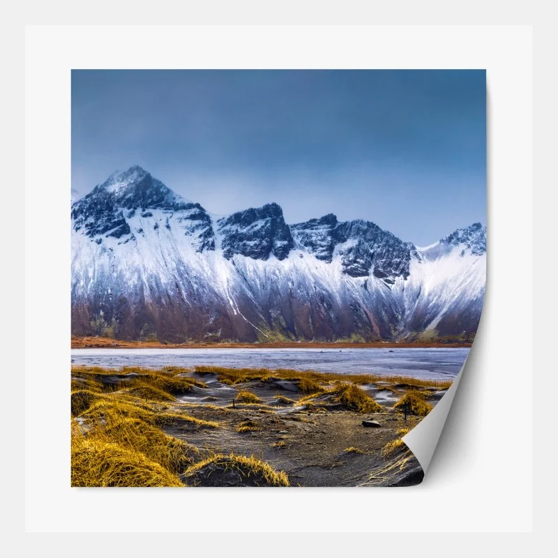 Repositionierbarer Aufkleber muster mit lebhaften orangen tulpen – Wallnifity®