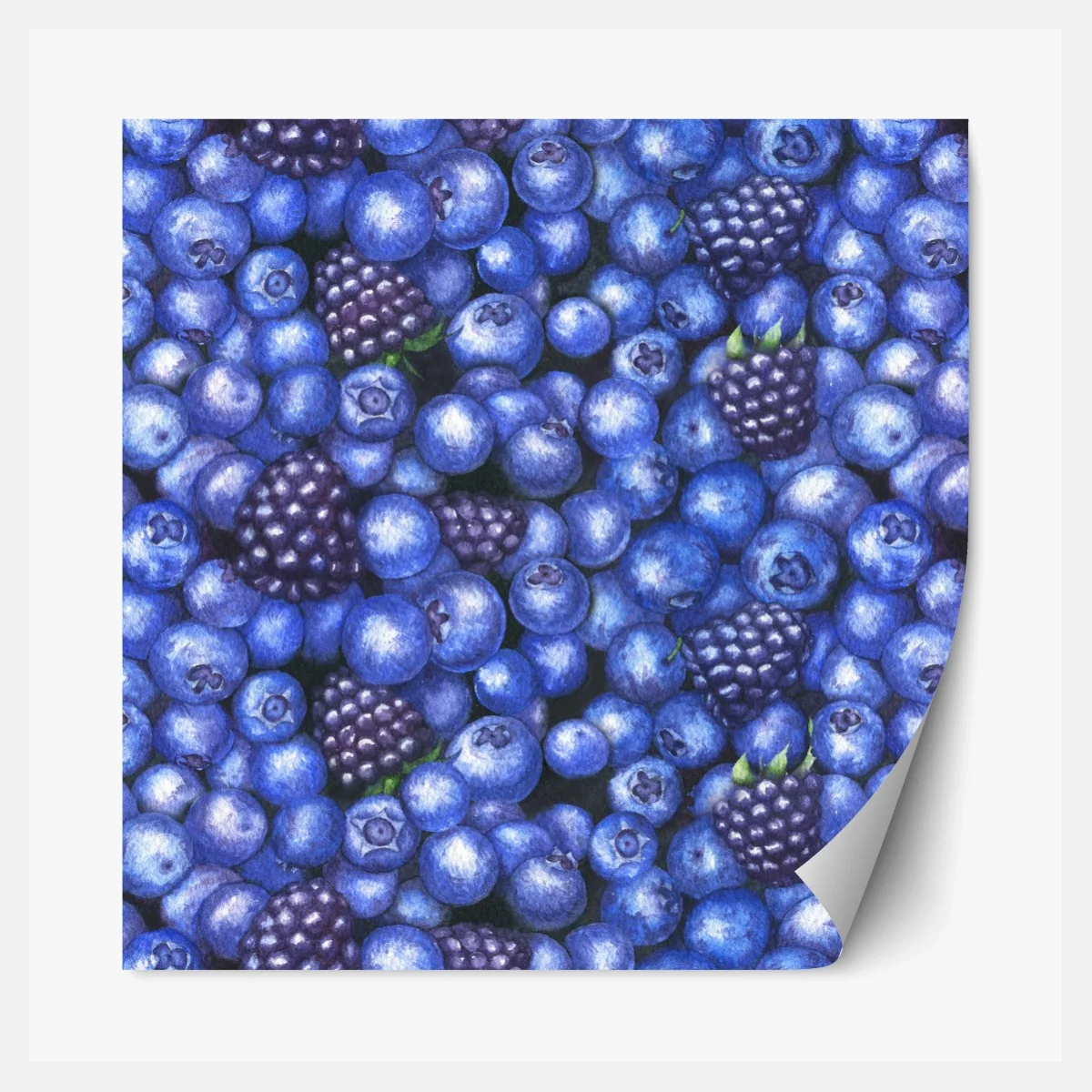Repositionierbarer Aufkleber aquarellmuster mit blaubeeren und brombeeren – Wallnifity®