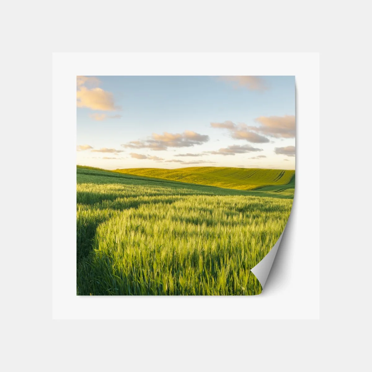 Repositionierbarer Aufkleber ruhige grüne wiesen panorama – Wallnifity® Repositionierbarer Aufkleber ruhige grüne wiesen panorama – Wallnifity®