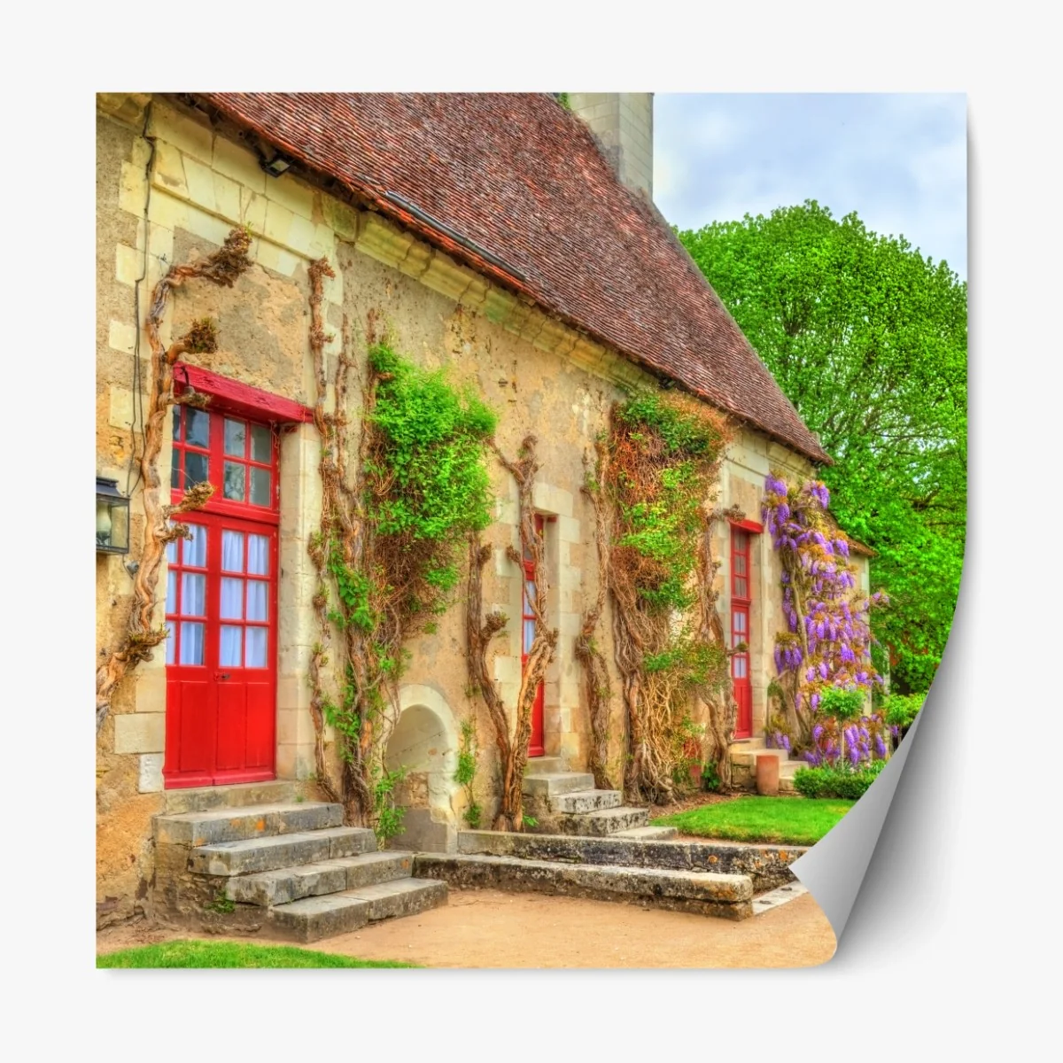 Repositionierbarer Aufkleber reizendes landhaus mit blühender glyzinie – Wallnifity® Repositionierbarer Aufkleber reizendes landhaus mit blühender glyzinie – Wallnifity®