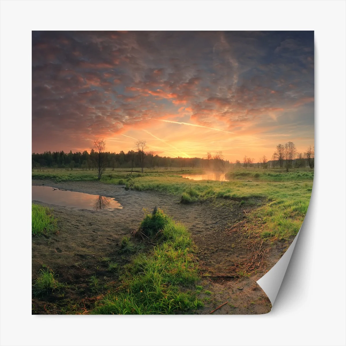 Repositionierbarer Aufkleber sonnenuntergang über einer ruhigen wiese – Wallnifity® Repositionierbarer Aufkleber sonnenuntergang über einer ruhigen wiese – Wallnifity®