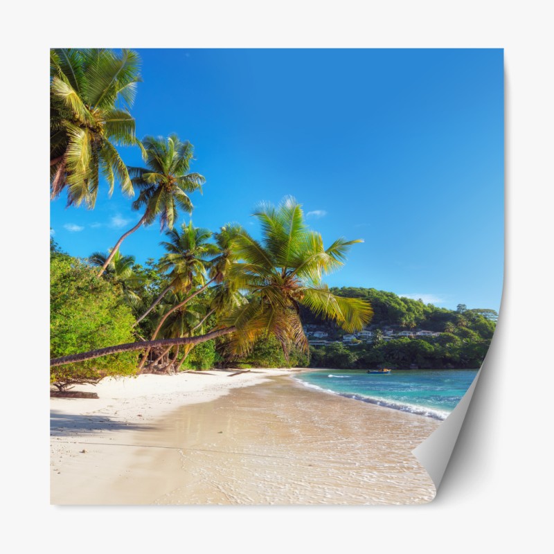 Repositionierbarer Aufkleber sonnenuntergang über der wüste VAE – Wallnifity®