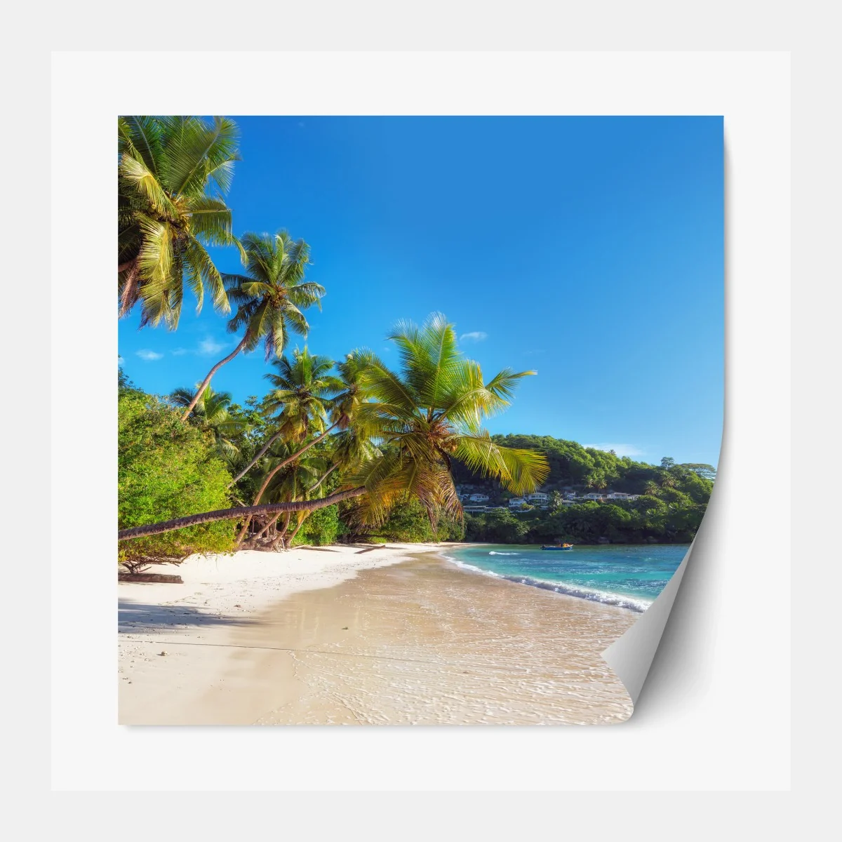 Repositionierbarer Aufkleber tropischer palmstrand – Wallnifity® Repositionierbarer Aufkleber tropischer palmstrand – Wallnifity®