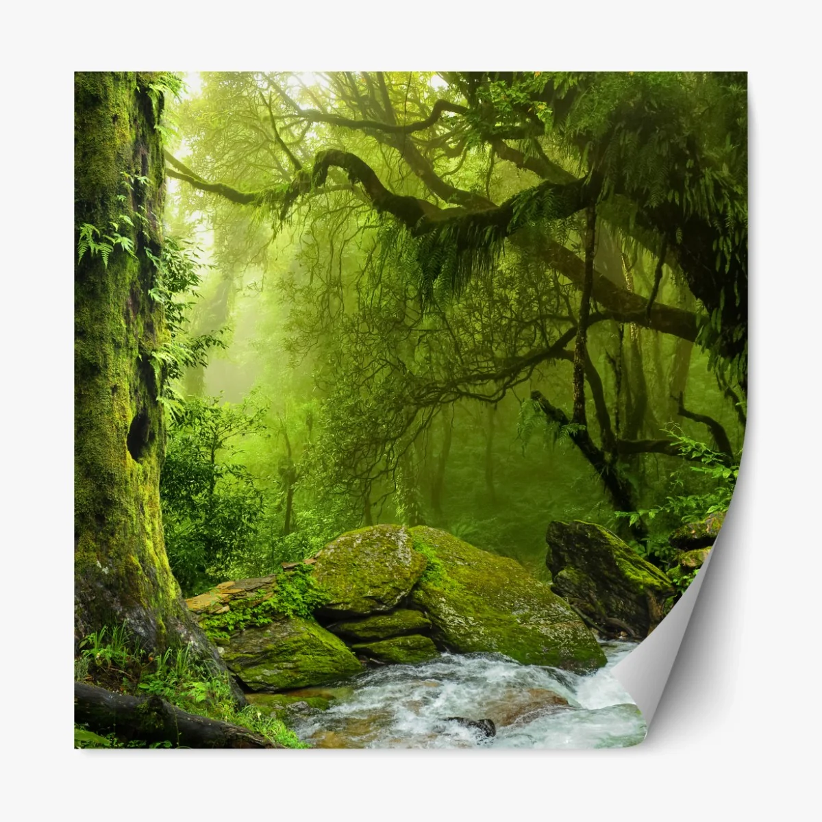 Repositionierbarer Aufkleber verzauberter grüner waldbach – Wallnifity® Repositionierbarer Aufkleber verzauberter grüner waldbach – Wallnifity®