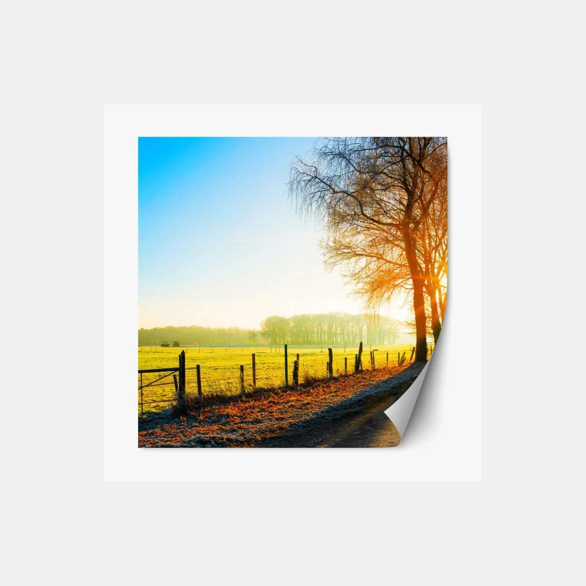 Repositionierbarer Aufkleber sonnenbeschienener landweg durch herbstliche wiese – Wallnifity®