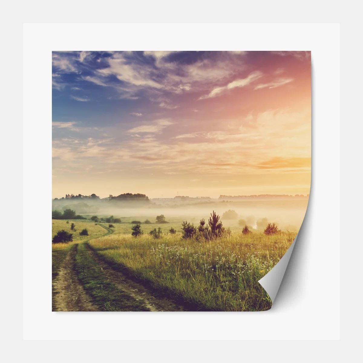 Repositionierbarer Aufkleber nebeliger sonnenaufgang über einer ländlichen wiese – Wallnifity® Repositionierbarer Aufkleber nebeliger sonnenaufgang über einer ländlichen wiese – Wallnifity®