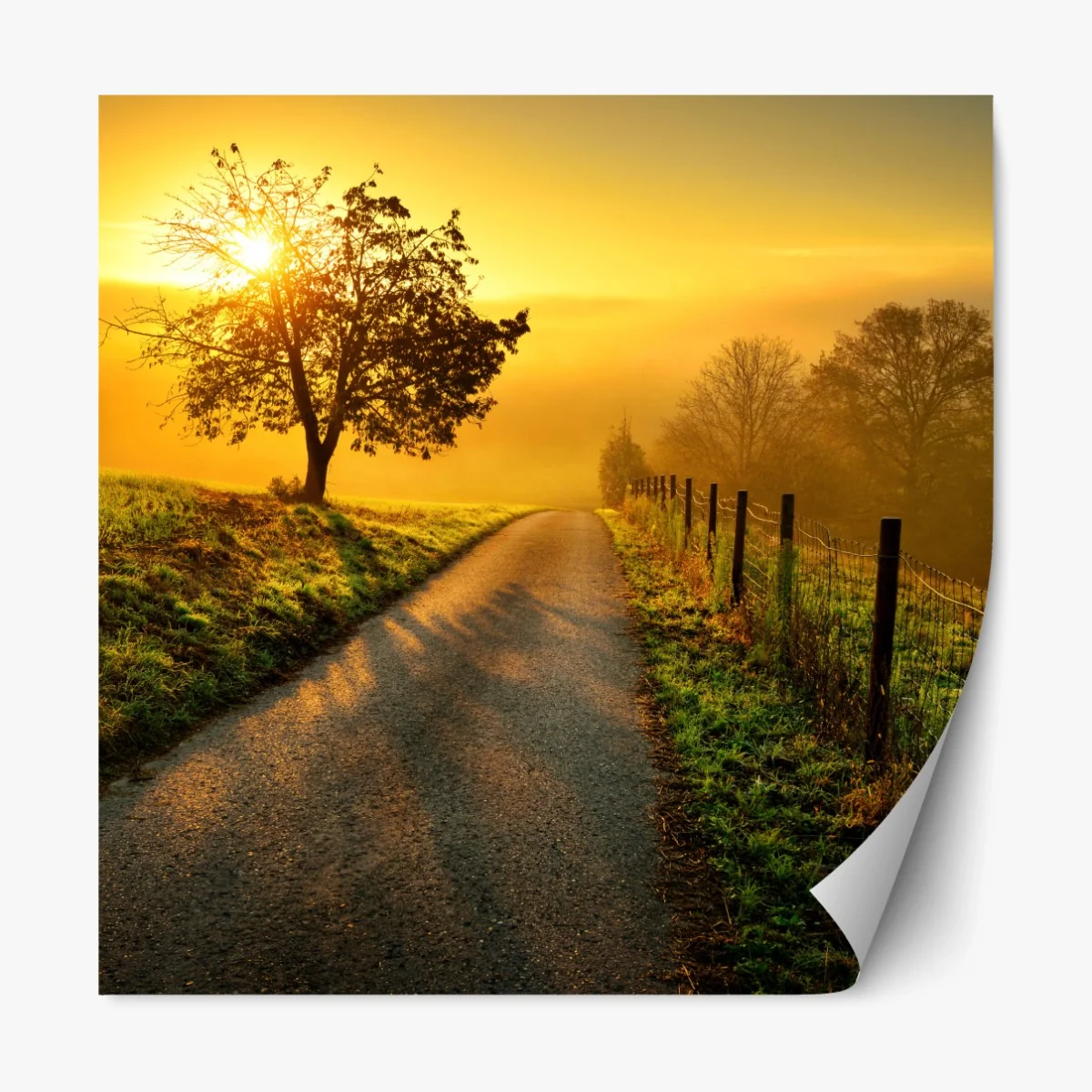 Repositionierbarer Aufkleber sonnenbeschienener landweg durch die morgenwiese – Wallnifity®