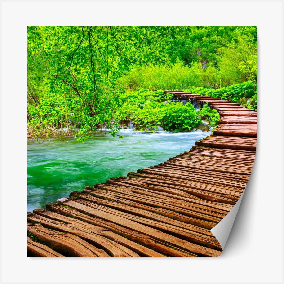 Repositionierbarer Aufkleber ruhiger grüner steg über dem fluss – Wallnifity® Repositionierbarer Aufkleber ruhiger grüner steg über dem fluss – Wallnifity®