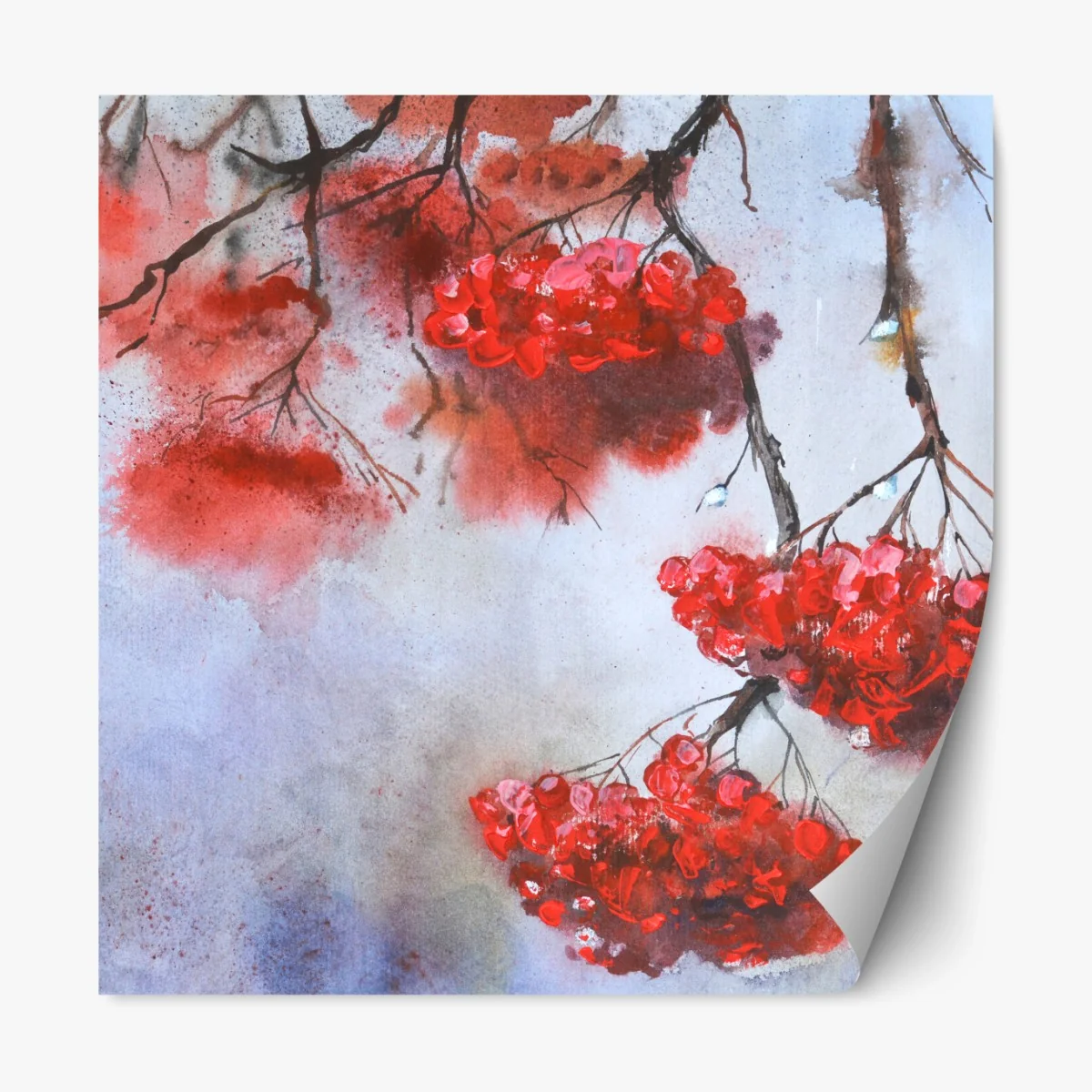 Repositionierbarer Aufkleber aquarell rote beeren an zweigen – Wallnifity®