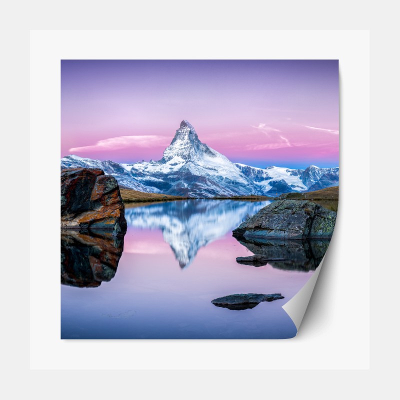 Repositionierbarer Aufkleber handgezeichnetes marineblaues blumenmuster auf creme – Wallnifity®