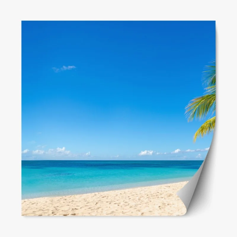 Repositionierbarer Aufkleber tropischer strand mit türkiswasser und palme