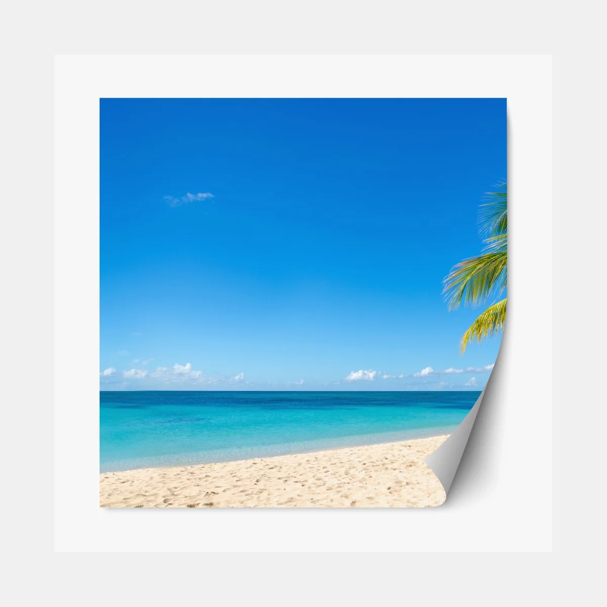 Repositionierbarer Aufkleber tropischer strand mit türkiswasser und palme – Wallnifity® Repositionierbarer Aufkleber tropischer strand mit türkiswasser und palme – Wallnifity®