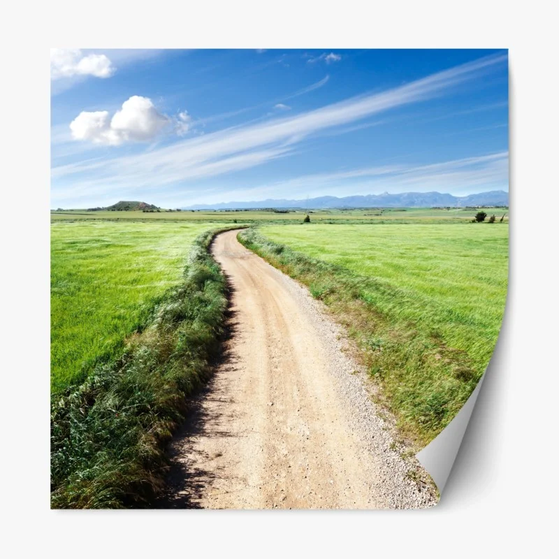 Repositionierbarer Aufkleber gewundener landweg durch grüne wiesen