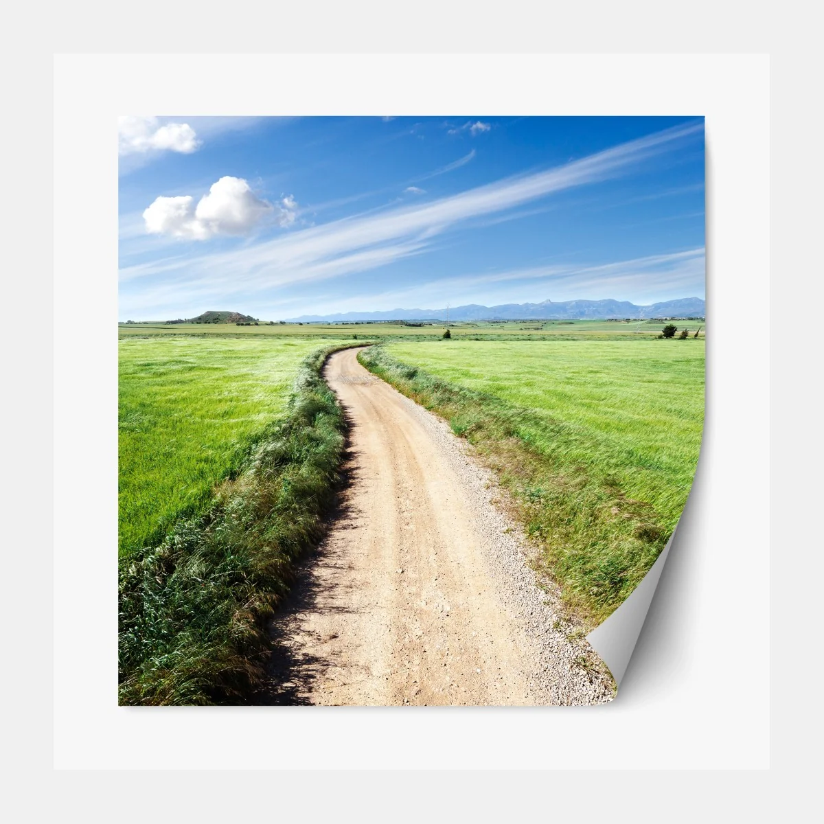 Repositionierbarer Aufkleber gewundener landweg durch grüne wiesen – Wallnifity® Repositionierbarer Aufkleber gewundener landweg durch grüne wiesen – Wallnifity®