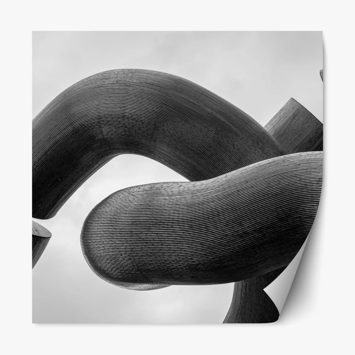 Repositionierbarer Aufkleber gekrümmte formen abstrakte skulptur in grau – Wallnifity® Repositionierbarer Aufkleber gekrümmte formen abstrakte skulptur in grau – Wallnifity®