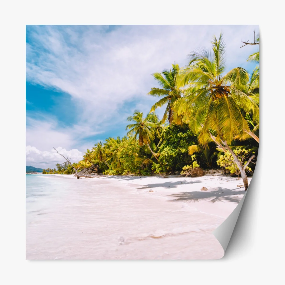 Repositionierbarer Aufkleber tropischer strandidyll mit palmen – Wallnifity® Repositionierbarer Aufkleber tropischer strandidyll mit palmen – Wallnifity®