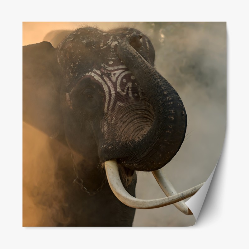 Repositionierbarer Aufkleber majestätischer Thai-elefant mit stoßzähnen