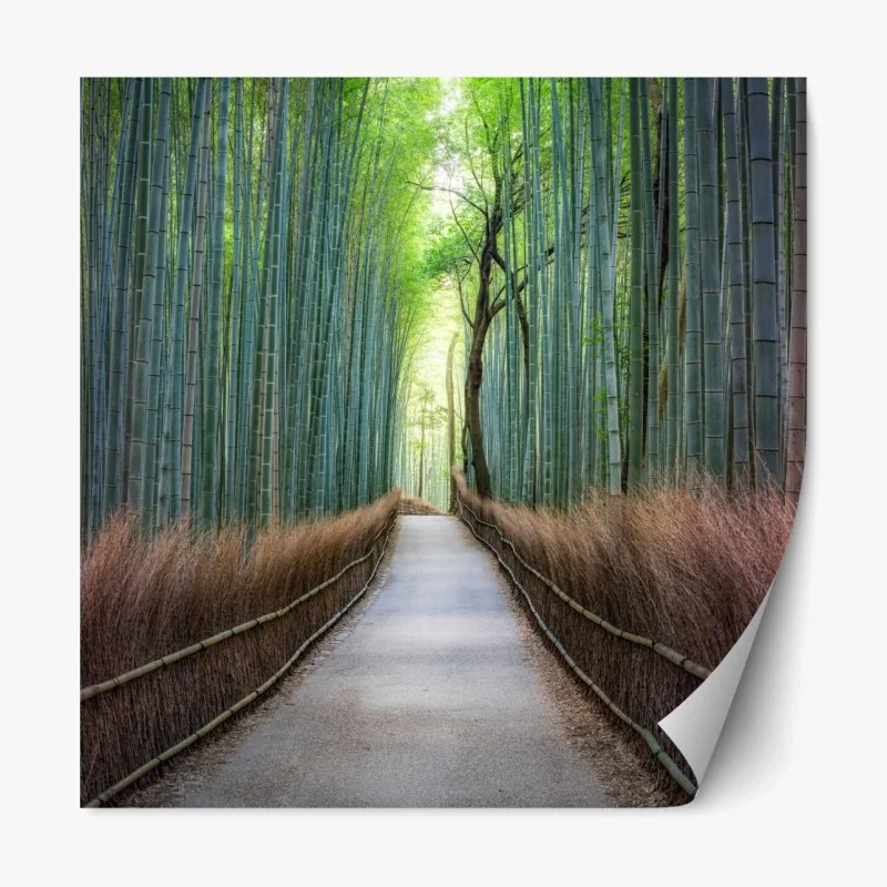 Repositionierbarer Aufkleber ruhiger bambuswaldweg