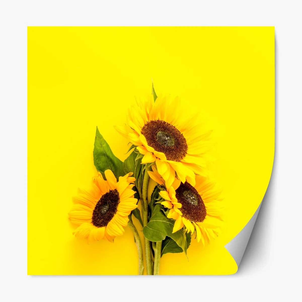 Repositionierbarer Aufkleber leuchtender sonnenblumenstrauß auf gelbem hintergrund – Wallnifity® Repositionierbarer Aufkleber leuchtender sonnenblumenstrauß auf gelbem hintergrund – Wallnifity®