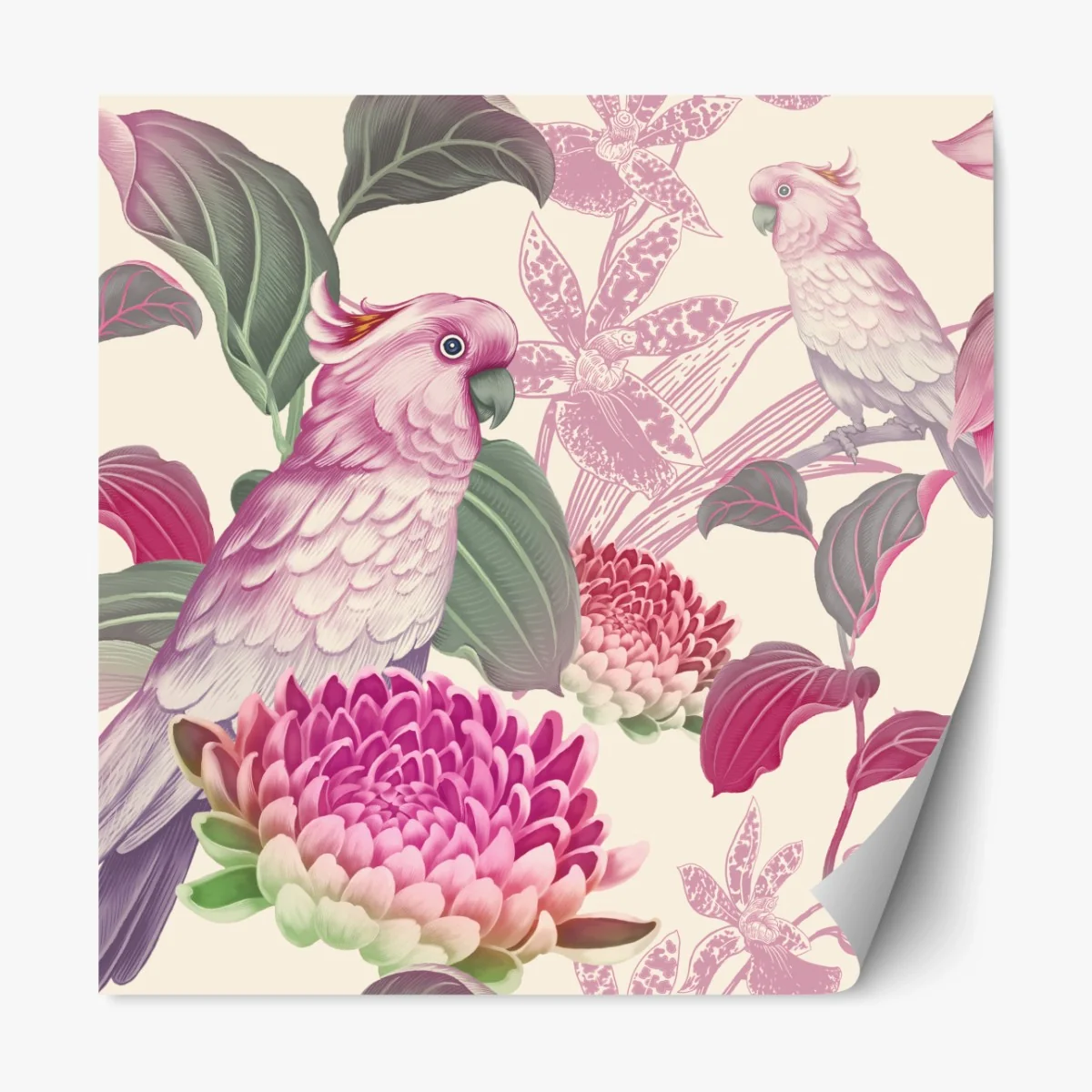 Repositionierbarer Aufkleber rosa papagei und chrysantheme - botanisches motiv – Wallnifity® Repositionierbarer Aufkleber rosa papagei und chrysantheme - botanisches motiv – Wallnifity®