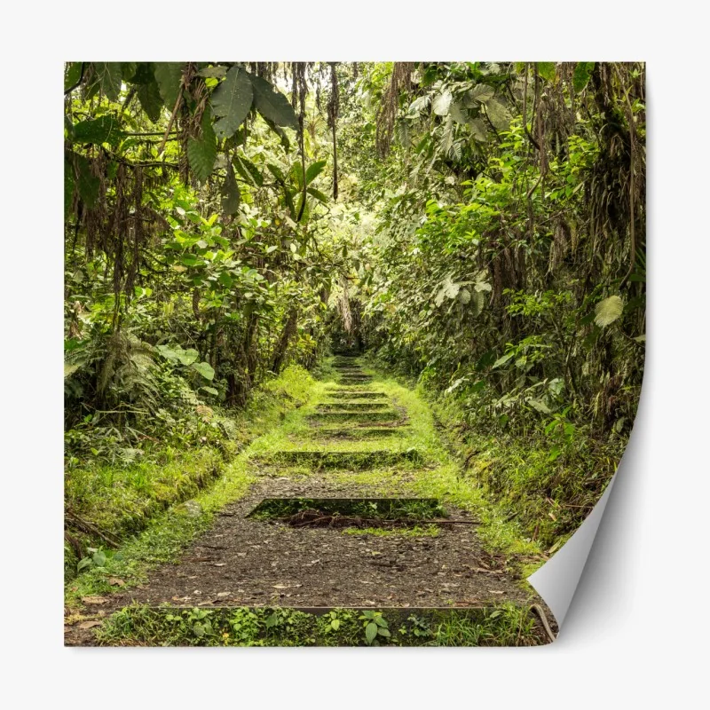 Repositionierbarer Aufkleber üppige tropische monstera-blätter – Wallnifity®