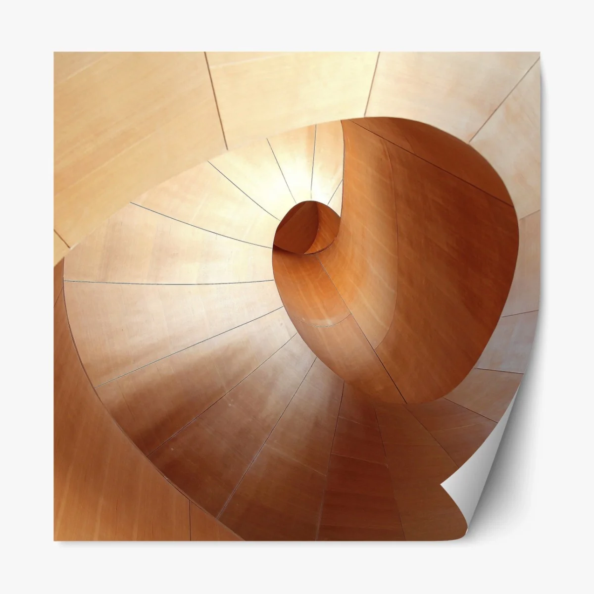 Repositionierbarer Aufkleber warme holzspirale – Wallnifity® Repositionierbarer Aufkleber warme holzspirale – Wallnifity®